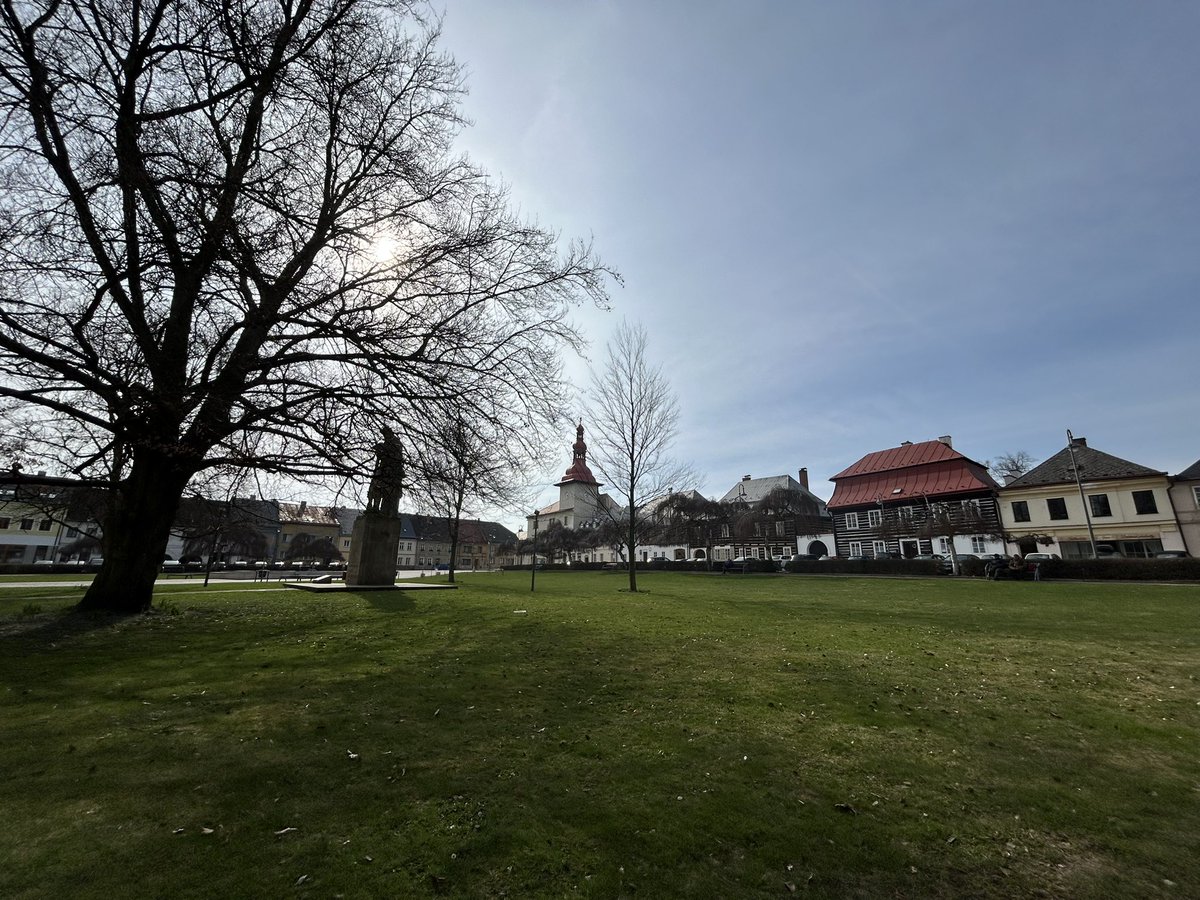 Chris Shepherd tweet media