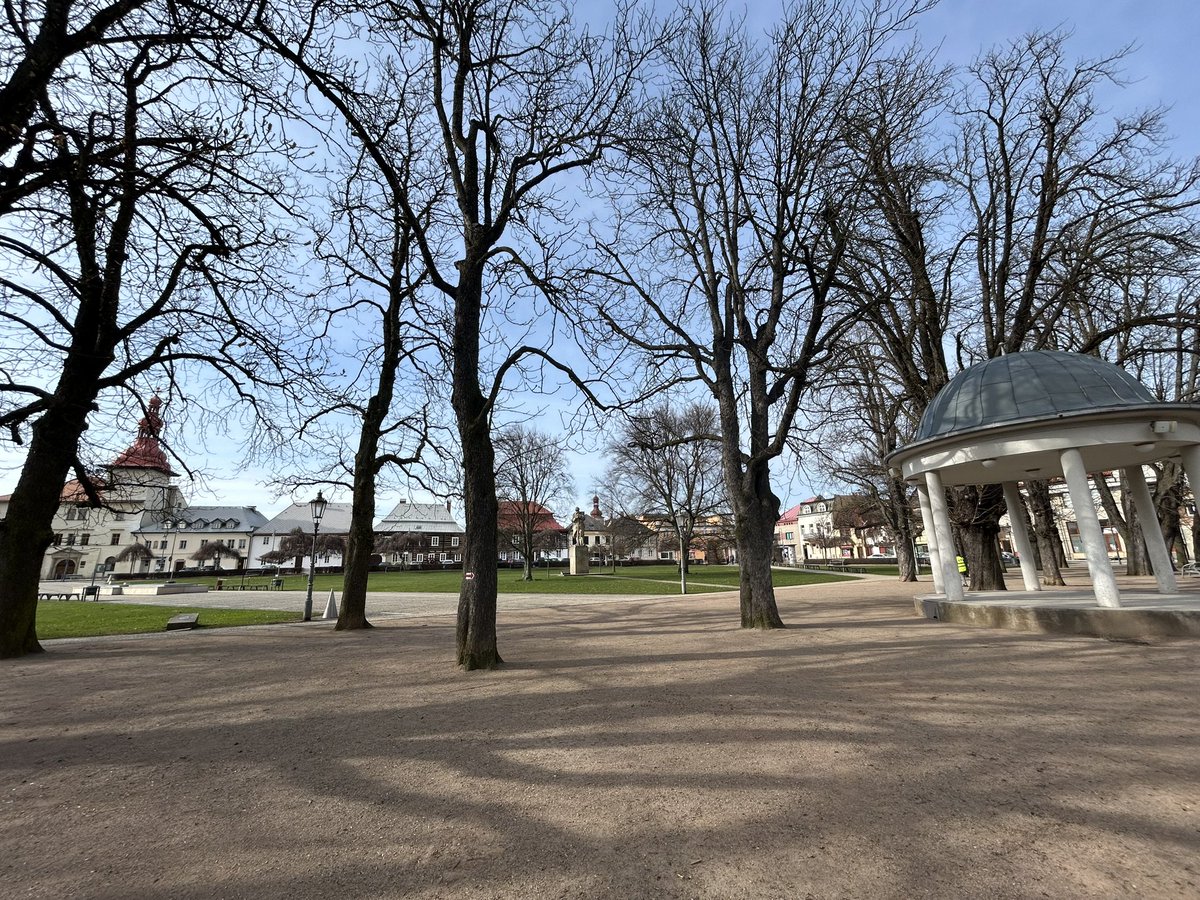 Chris Shepherd tweet media