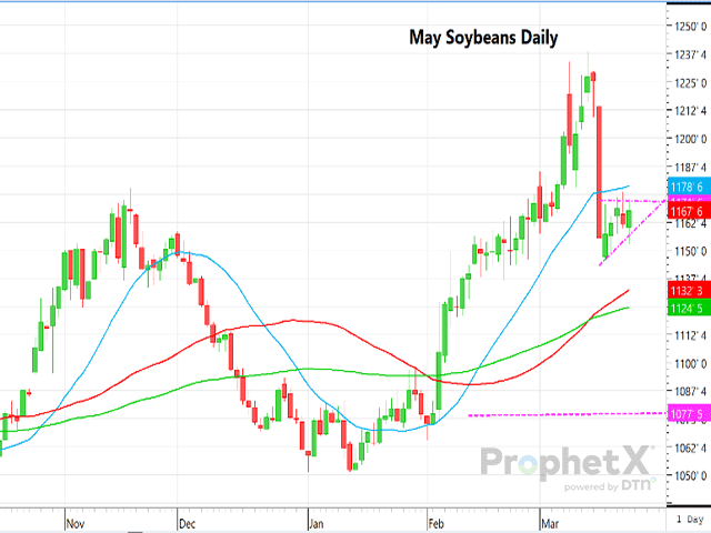 dtnpf's tweet photo. Is that a bear flag pattern on May soybeans?

DTN Senior Analyst Dana Mantini shares in #TechnicallySpeaking: https://t.co/rlgz01HlLd https://t.co/TLz0RXVl8v