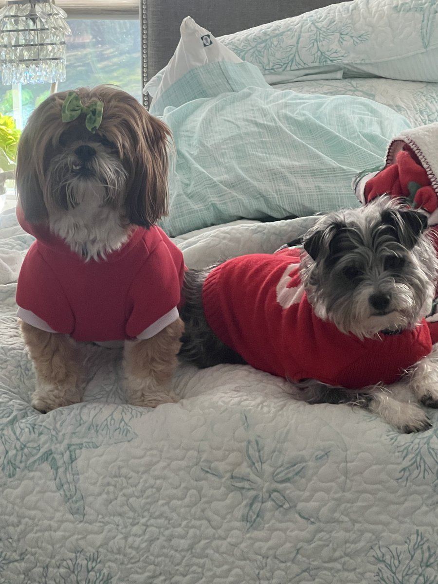 Angelina Couture DC tweet media