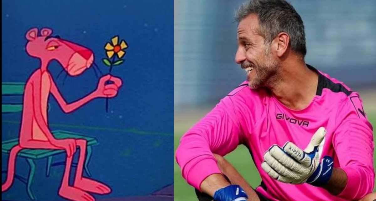 H²⁴⁹⁷ tweet media