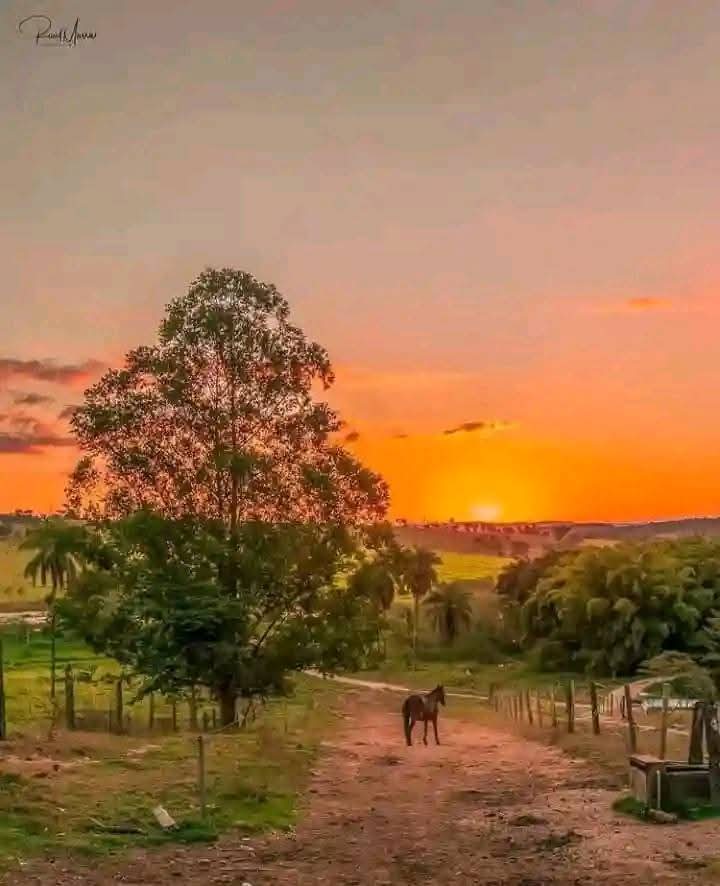 Irush Sam tweet media