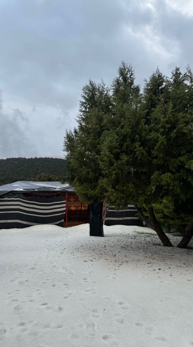 فارس بن عبدالله 🇸🇦 tweet media