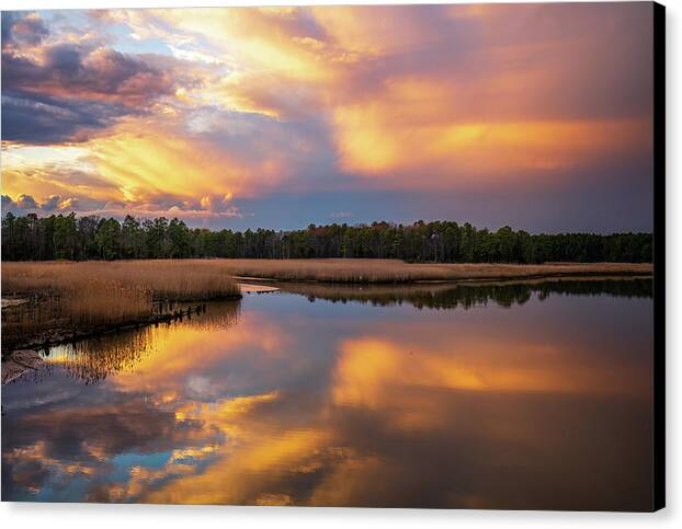 Rachel Morrison tweet media