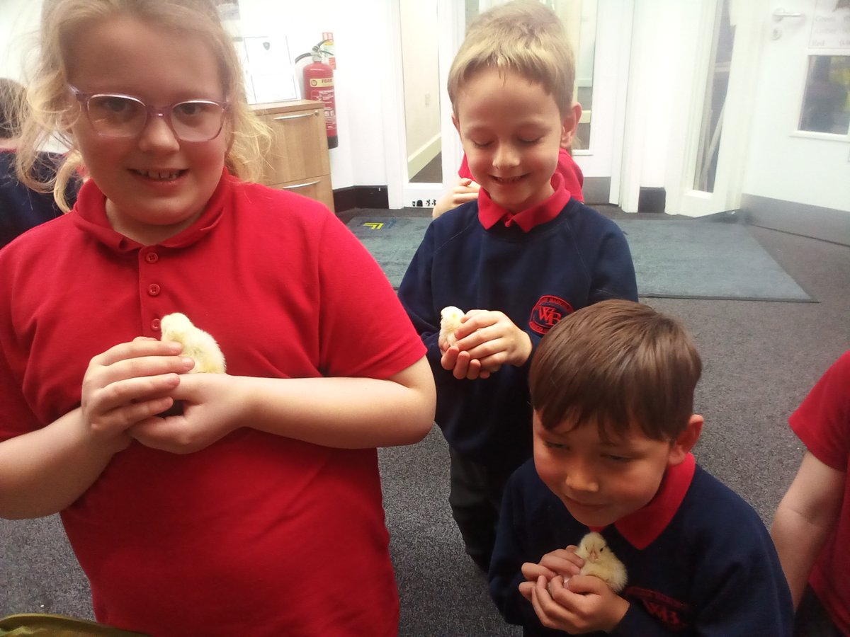 WBJYear3 tweet media