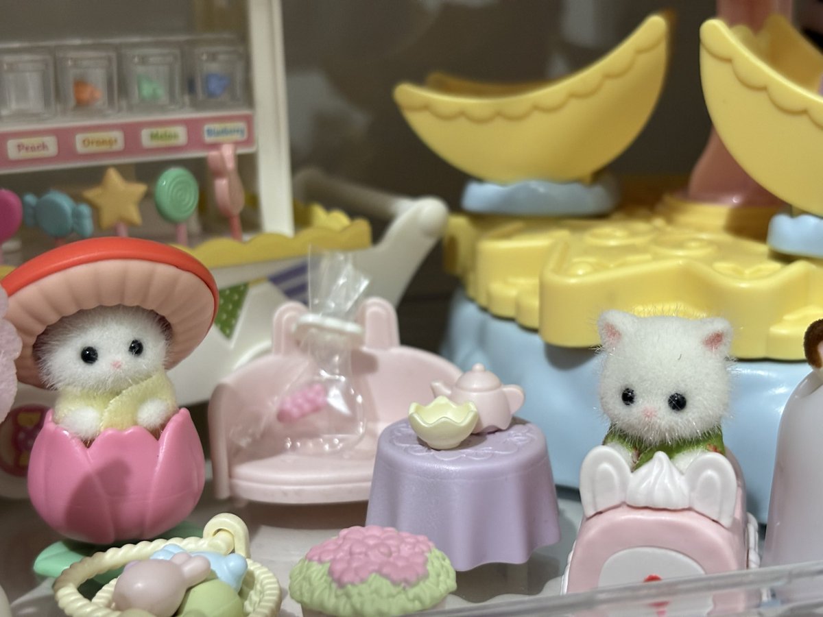 feyaa🩰🦢 tweet media