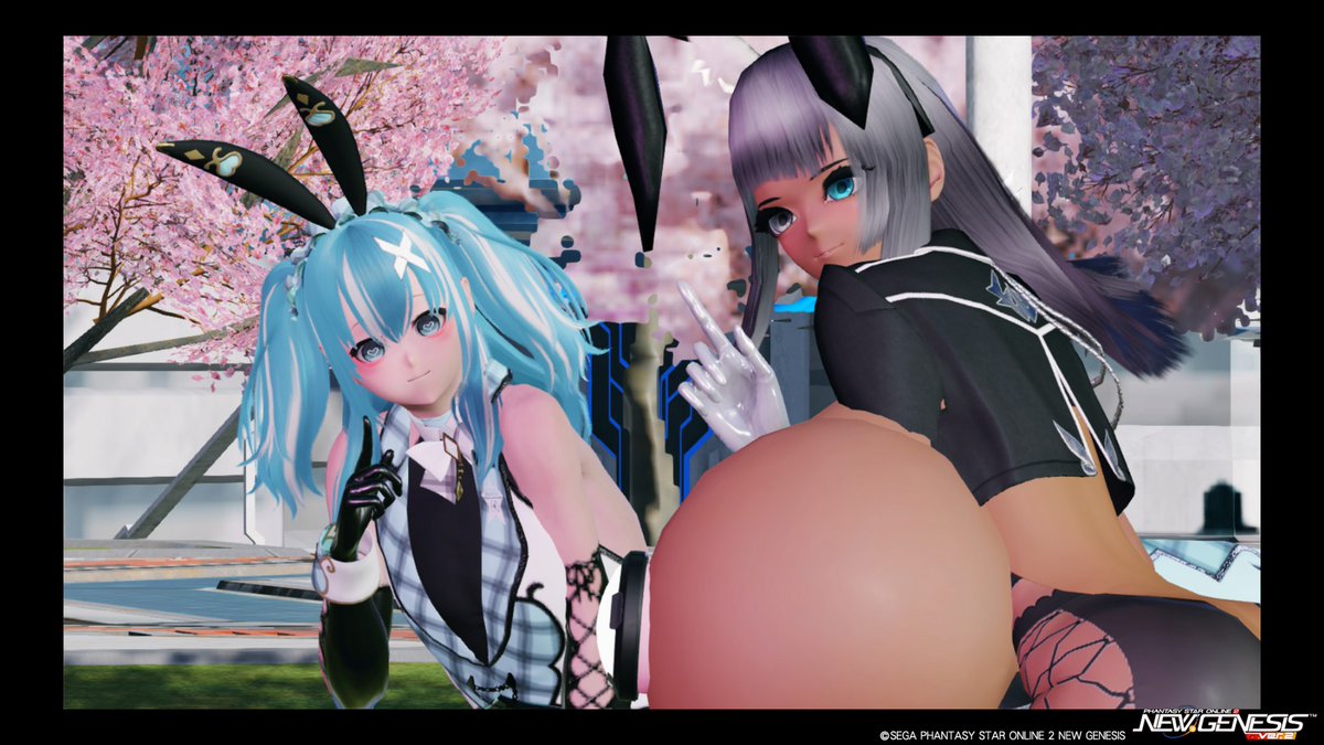 パーカーねこ tweet media