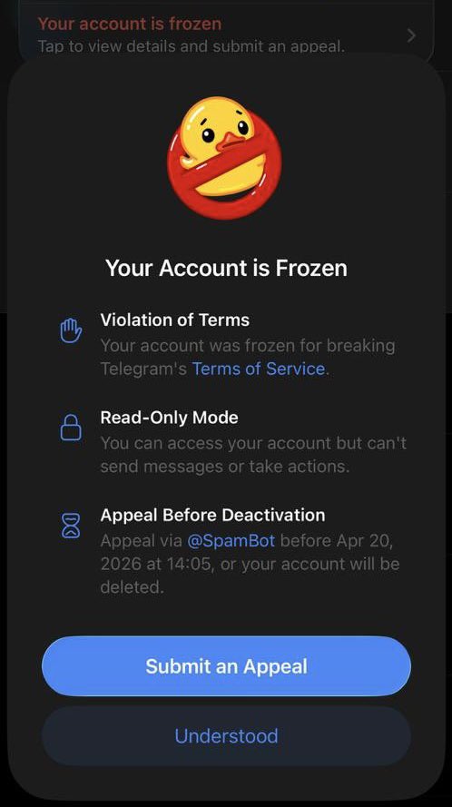 Dave.sol tweet media