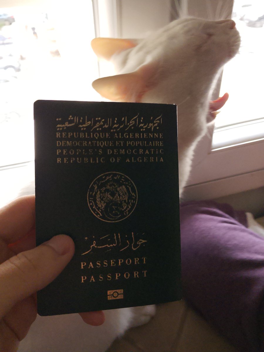 Retired Average Saïd Mohammedi Enjoyer ⵣ۞🏴🏳️ tweet media