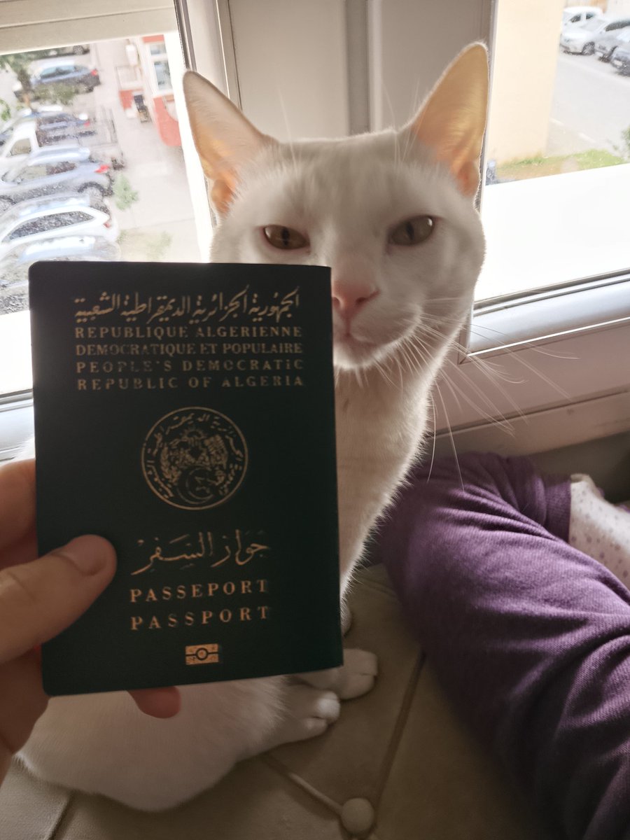 Retired Average Saïd Mohammedi Enjoyer ⵣ۞🏴🏳️ tweet media