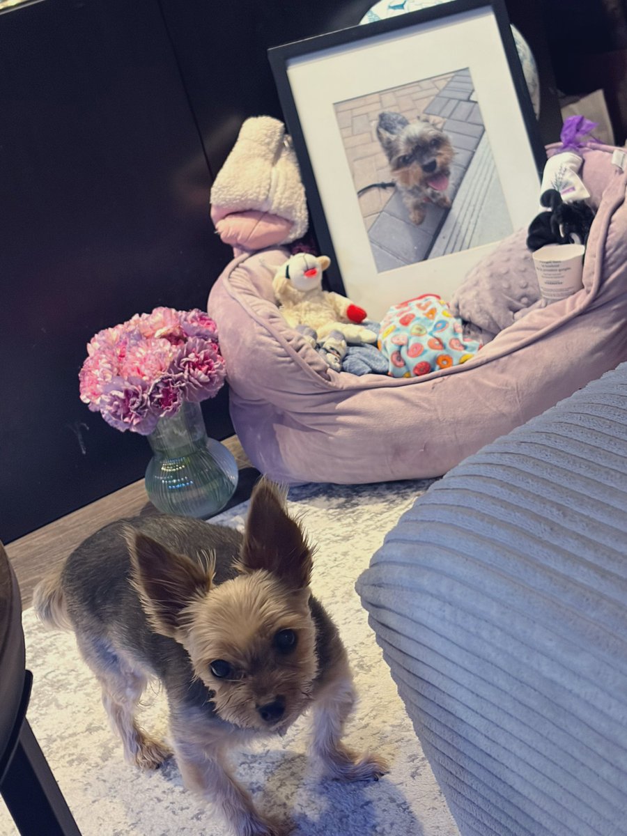 MaterGuac 𐕣 tweet media