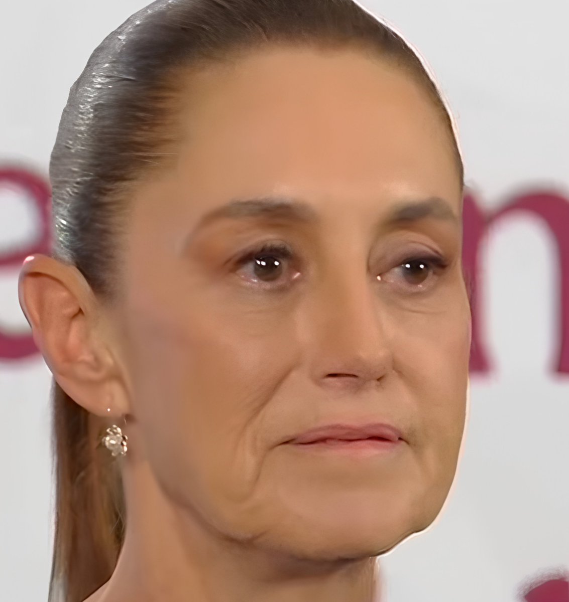 Melissa Ⓜ️ tweet media