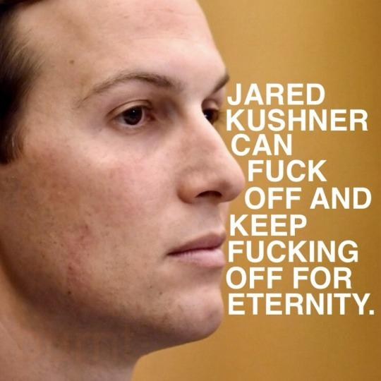 Brown Eyed Susan tweet media