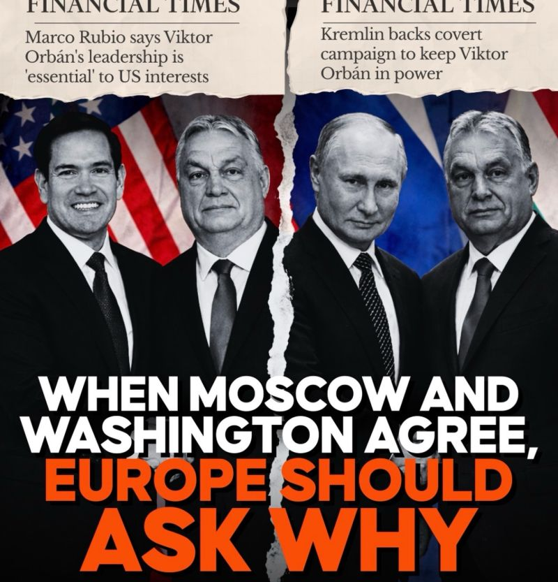 Eric Groothuis, Jubilado con Beneficios tweet media