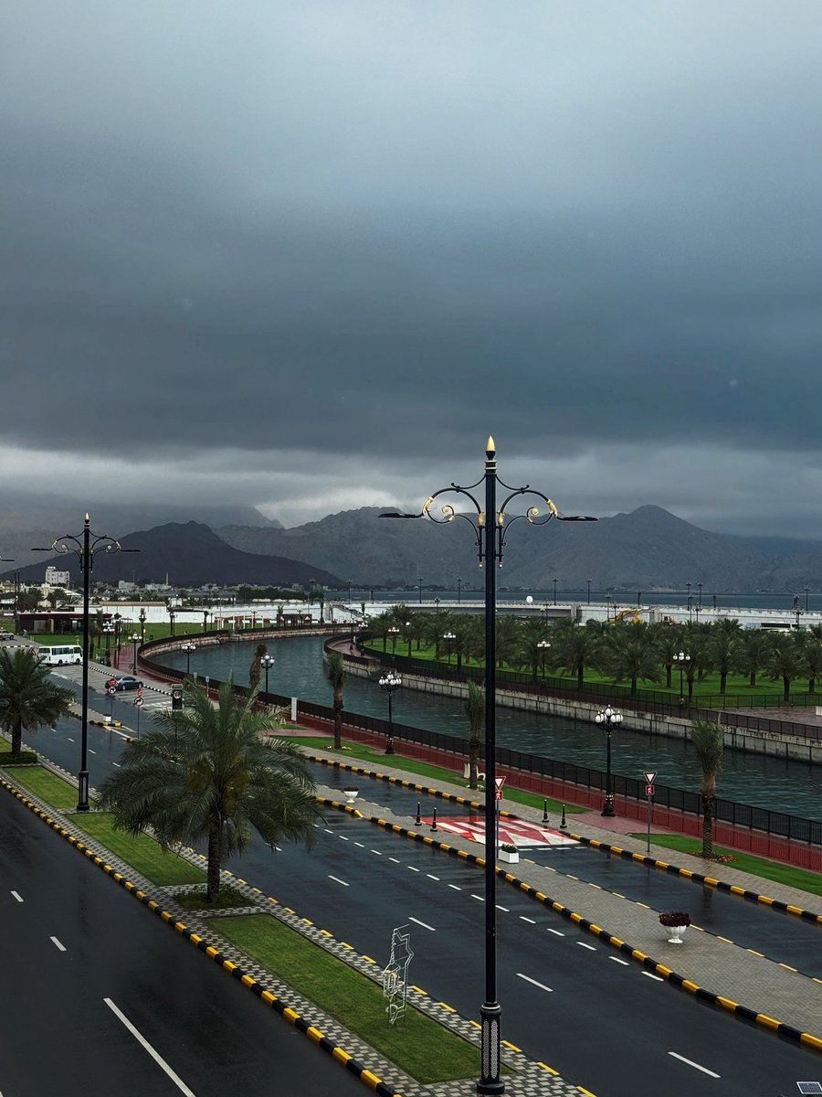 ηαнє∂ tweet media