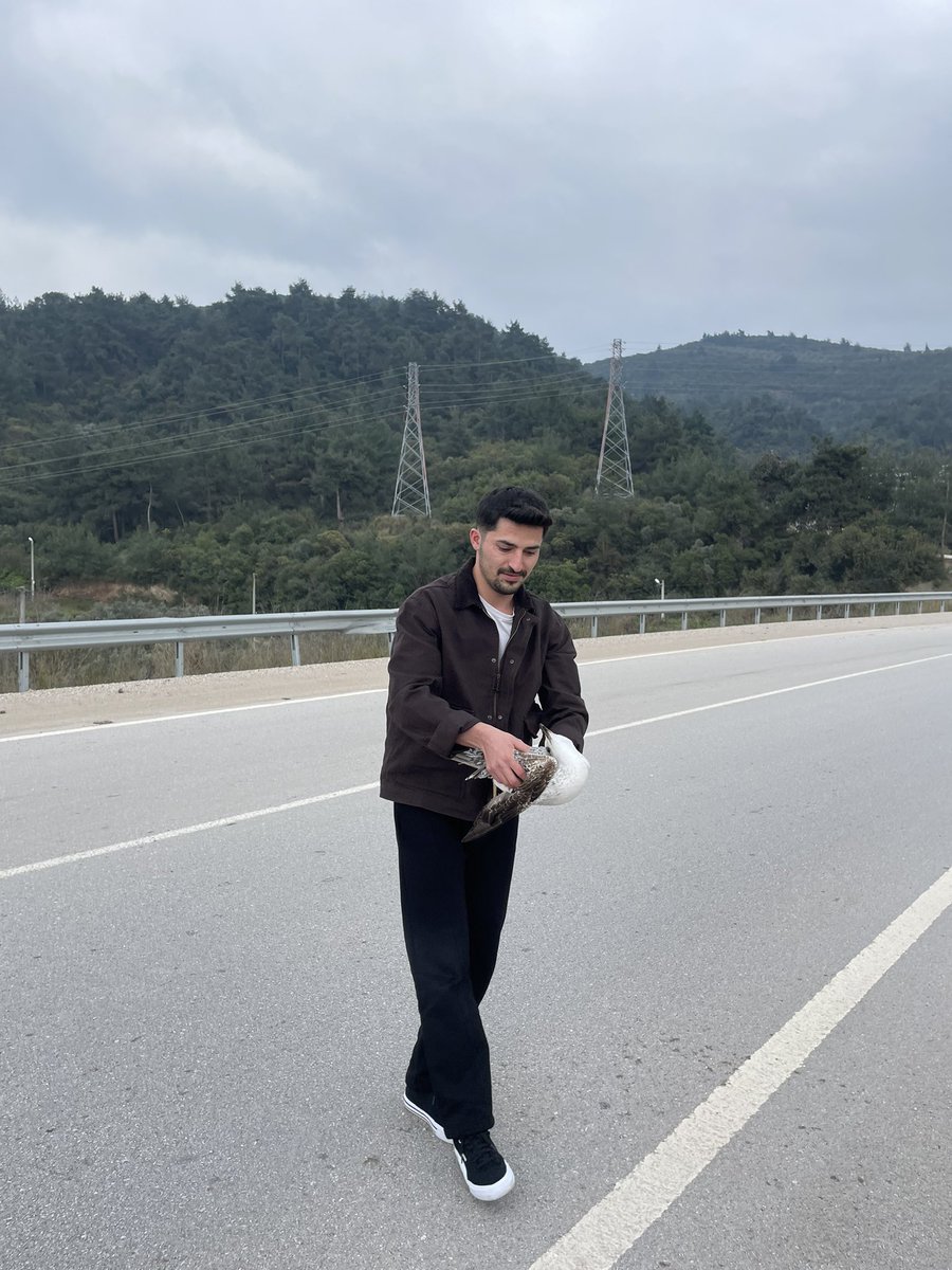 furkankarakocs's tweet photo. martıya çarptık aq https://t.co/nyi3RAdRr2