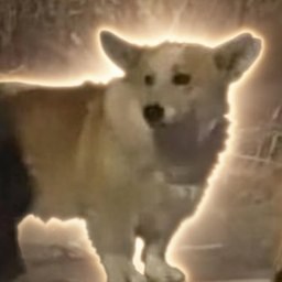 RyoshiPlays 𓃵 tweet media