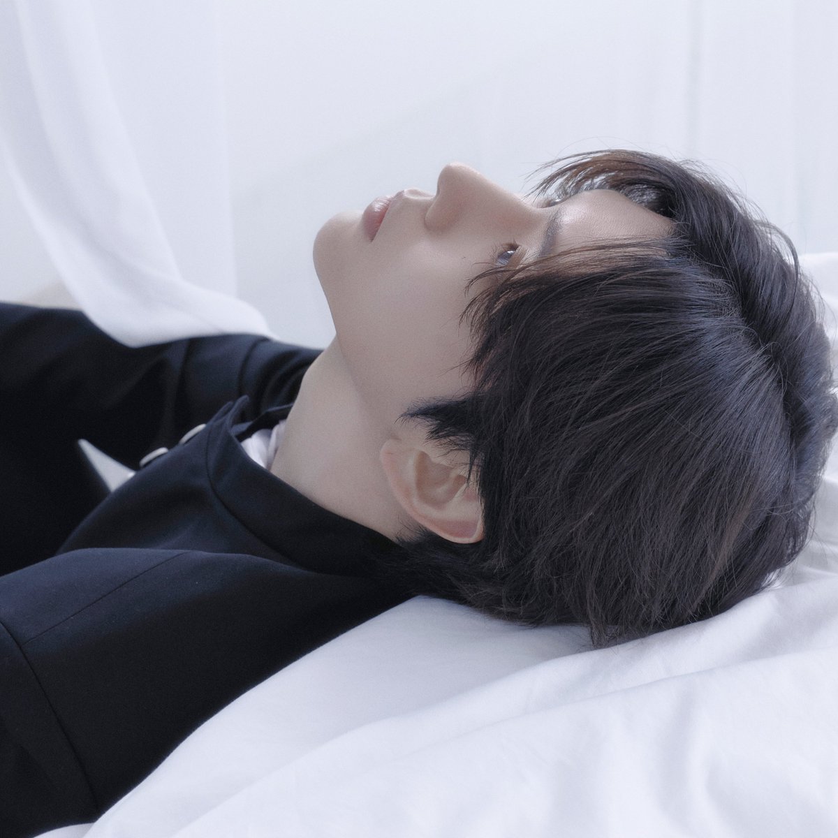 채햄기록계 tweet media