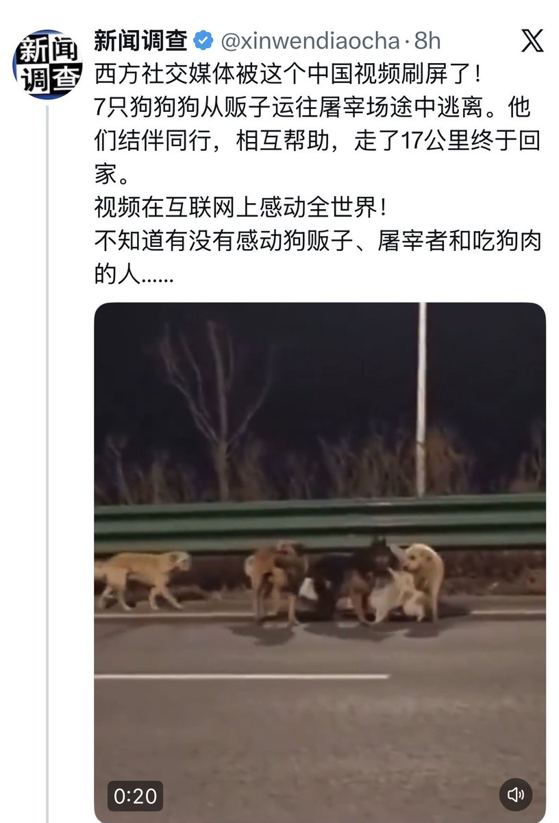 冰玉IceJade🇺🇦#StandWithUkraine tweet media