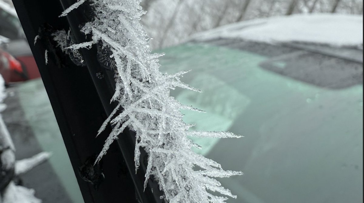 Tim Kelley tweet media