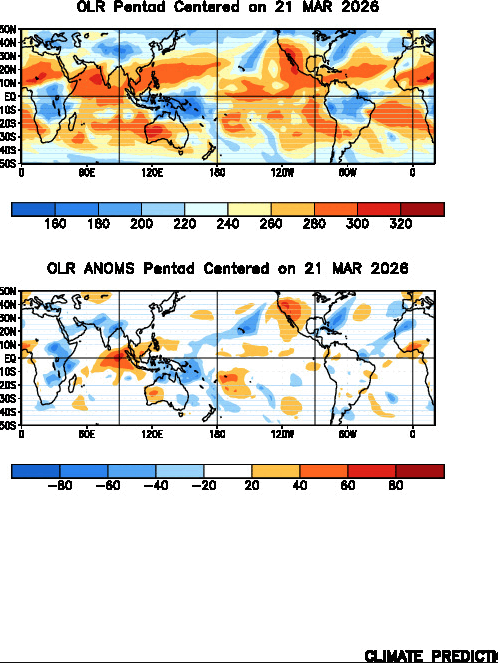 Jason Nicholls 💙 tweet media