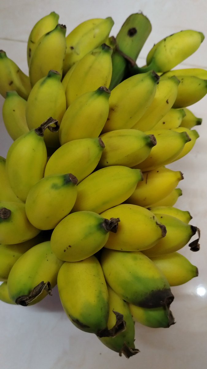 ~زيــــانوهـ~ tweet media