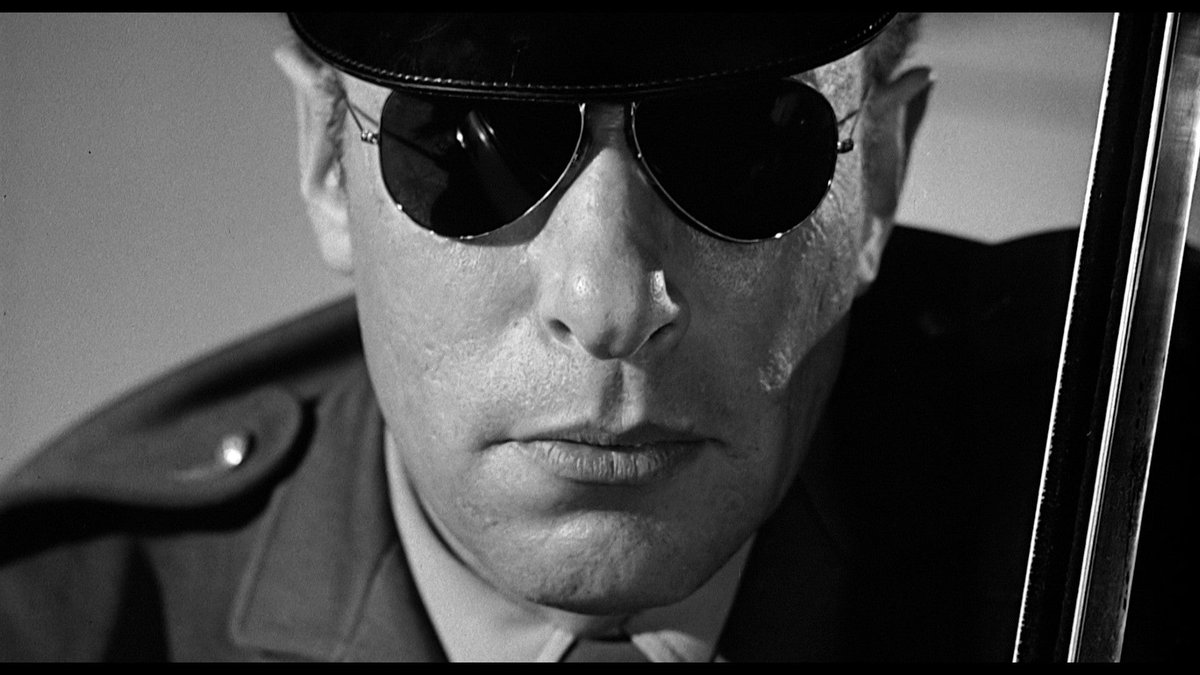 ぴくナゲ tweet media