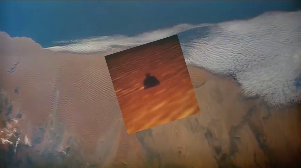 The Third Line. tweet media