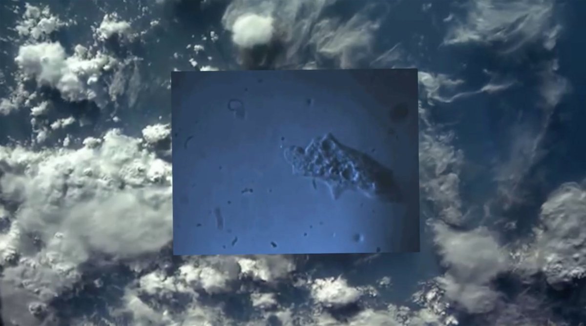 The Third Line. tweet media