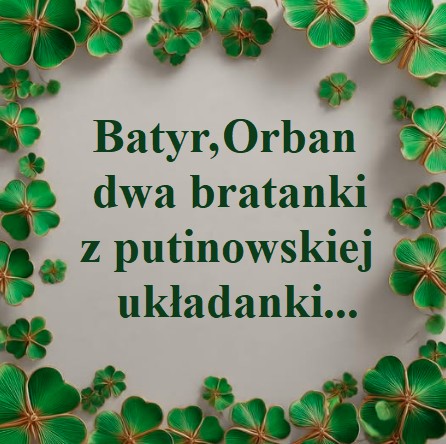Małgorzata Kryczka tweet media