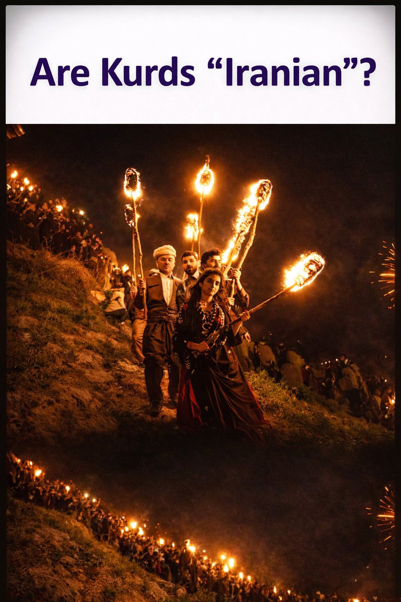 Soran Hamarash tweet media