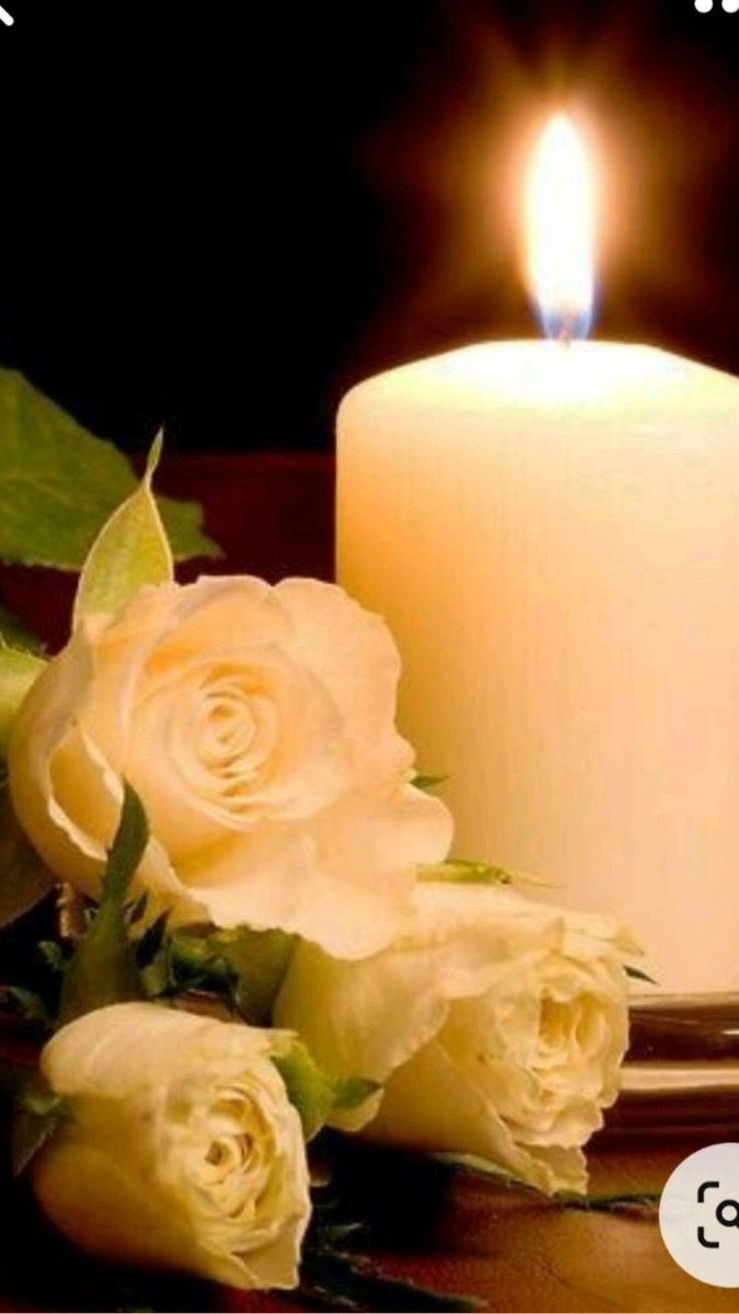 Cornelia Schmidt-L tweet media