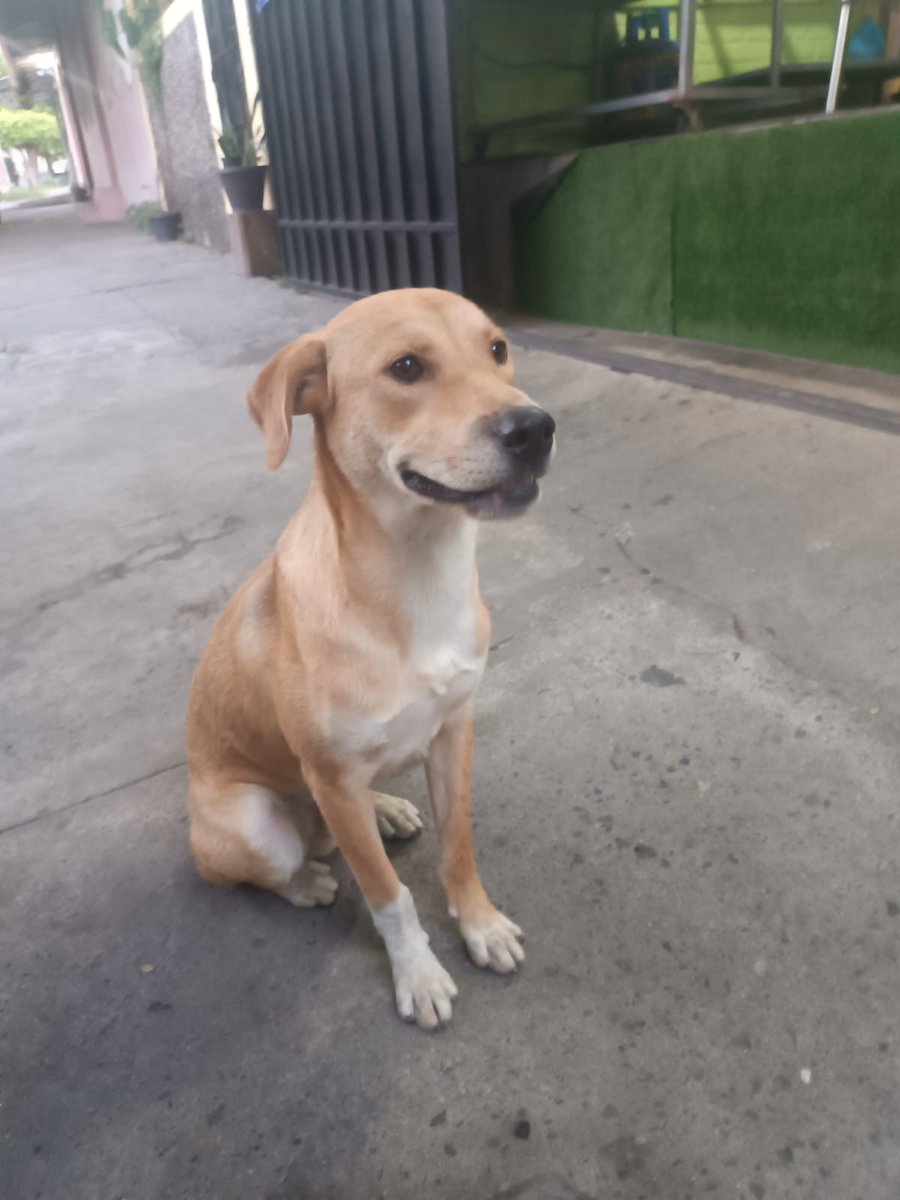 Lyss 🇸🇻 tweet media