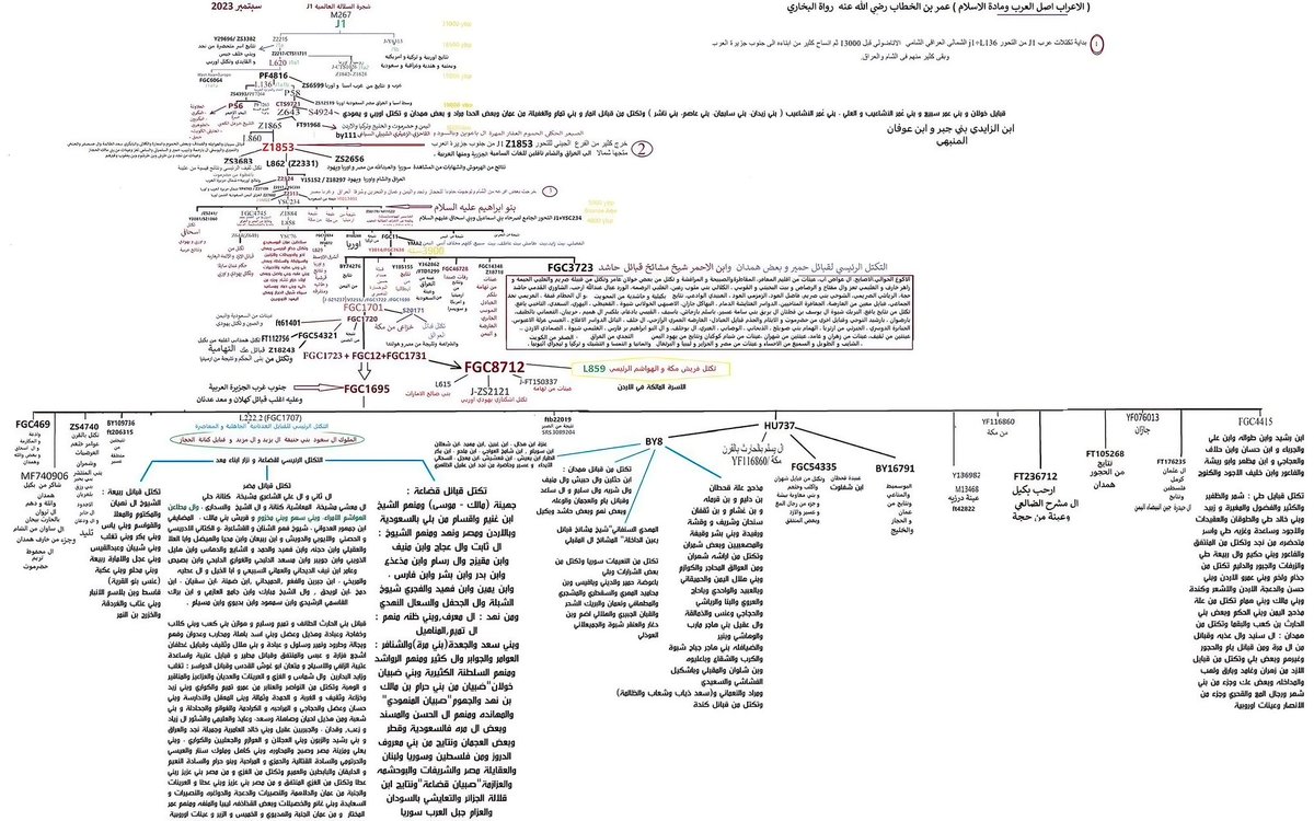 سالم الشمري tweet media