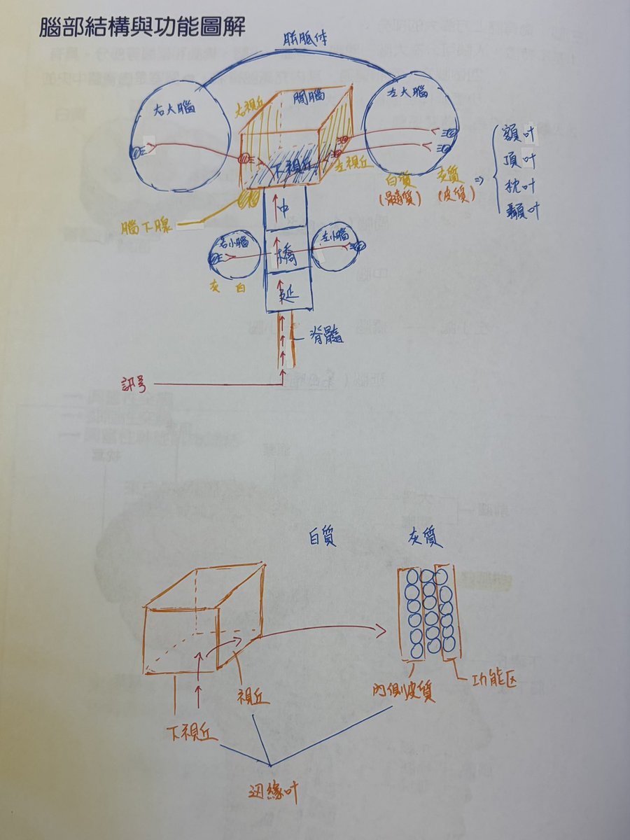 八分音符 tweet media