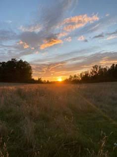 Irush Sam tweet media