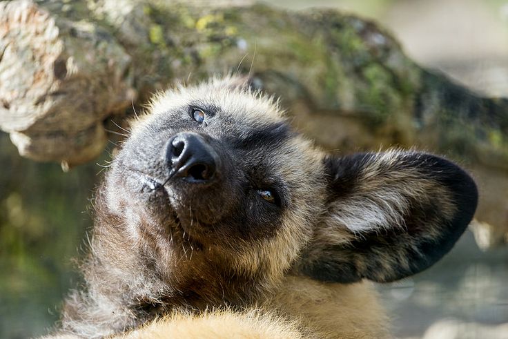 DailyAWD tweet media