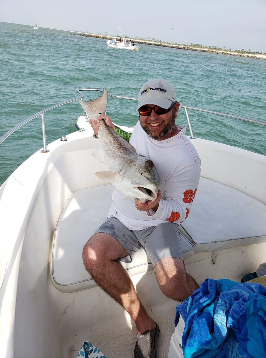 C-Train GatorMayne tweet media