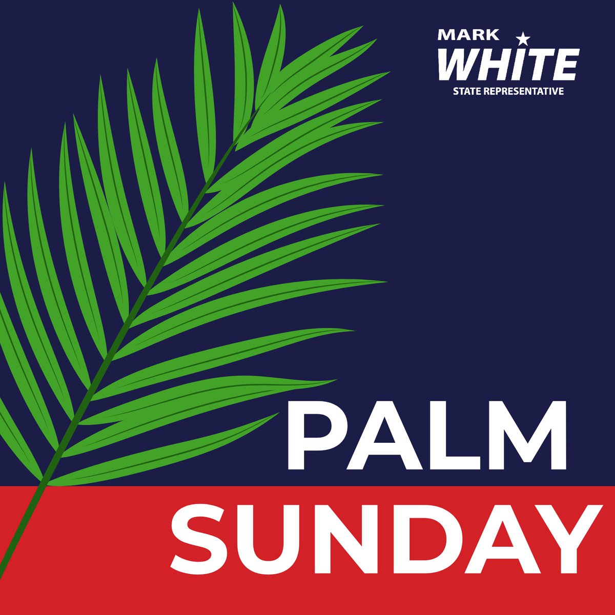 Representative Mark White tweet media