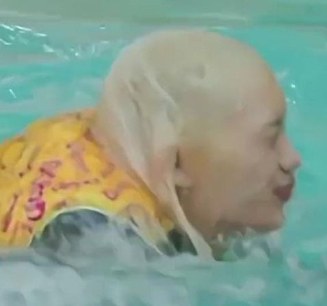 Lola | Allabyu🐥 tweet media