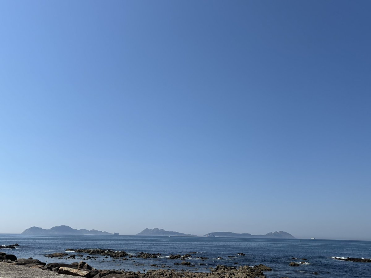 Torallamar tweet media