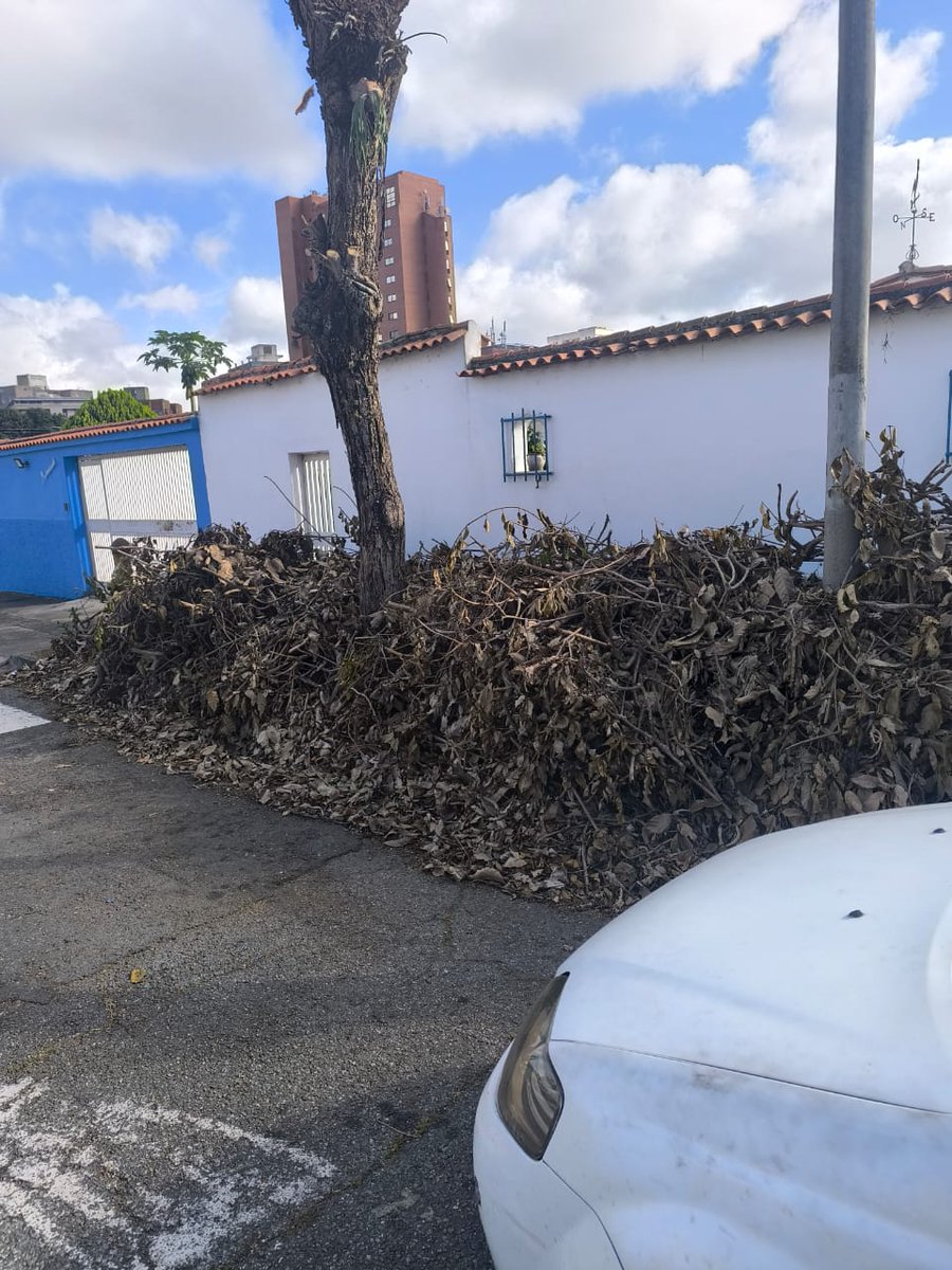 Pedro R. Rodriguez C tweet media