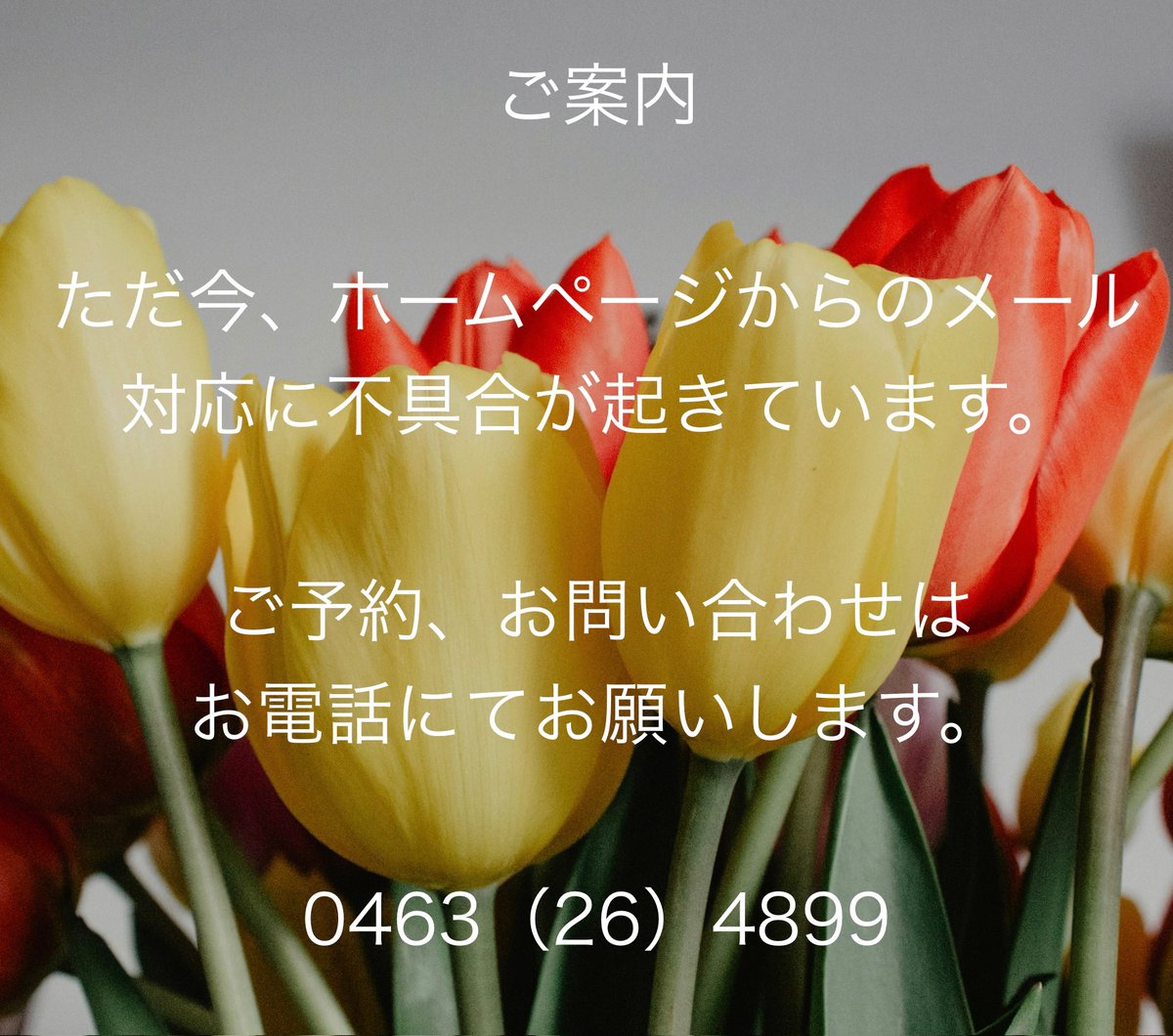 nature_holistic's tweet photo. サーバーのからの受信ができず状態なので、念のためしばらくは、以下のアドレスにご連絡またはお電話にてお問い合わせ下さい。

minako_charkha@yahoo.co.jp
または、nature.minako@gmail.com
📞0463（26）4899 https://t.co/gxFjnlzlG5
