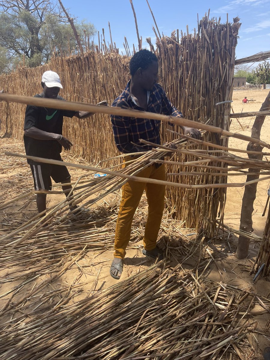 Pa Latyr Diouf tweet media