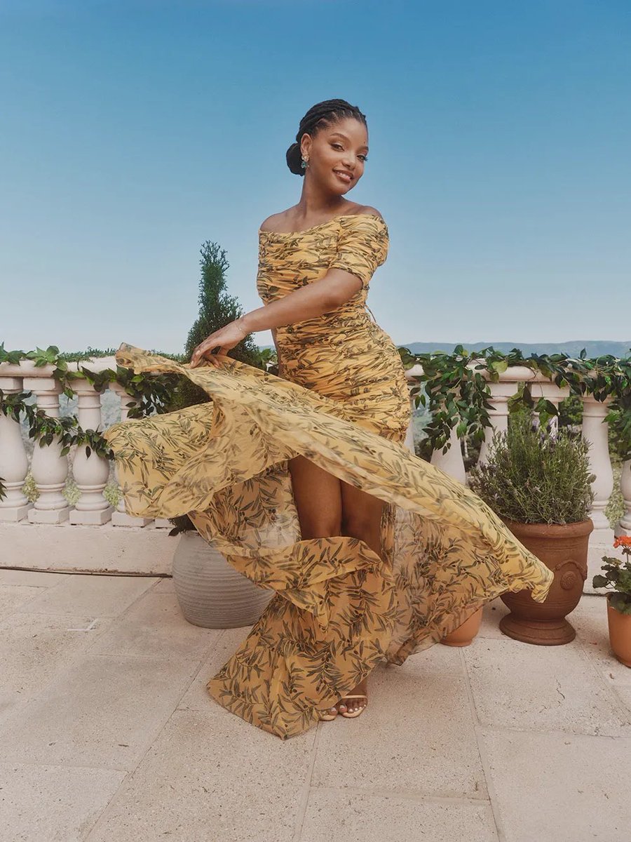 Film Updates tweet media