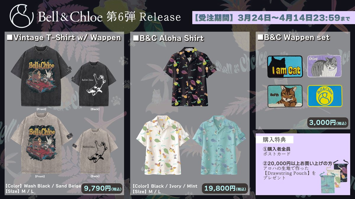 eoheoh@MSSP tweet media