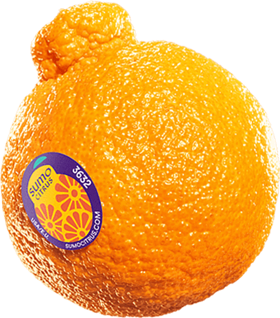 Andrew 🔻 tweet media