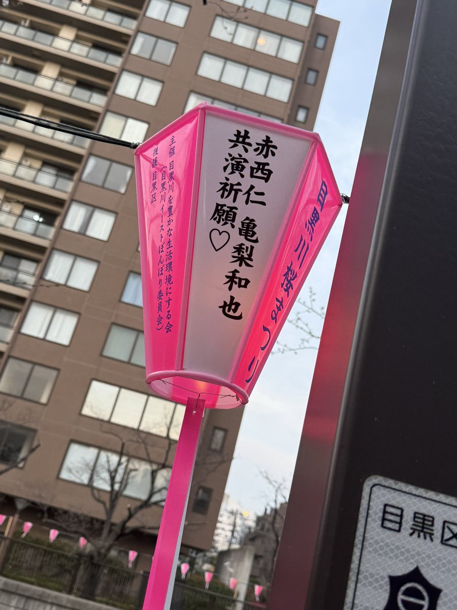 どなたかが 仁亀 でぼんぼり出されてて
胸熱だった 泣泣泣泣泣
ありがとうございます泣泣泣泣泣泣泣
泣泣泣泣泣泣泣泣泣泣
＃目黒川桜まつり2026
＃目黒川ぼんぼり