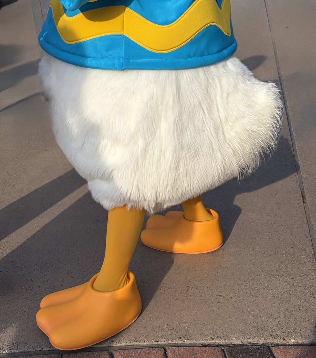 ド・ナ・シ・リ♡