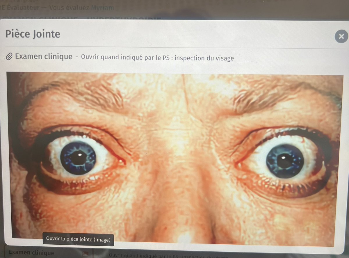 bibi 🇩🇿🇵🇸 tweet media